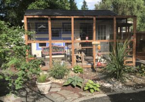 Lodge Catio